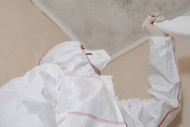 Best Bathroom Mold Remediation in Janesville, IA